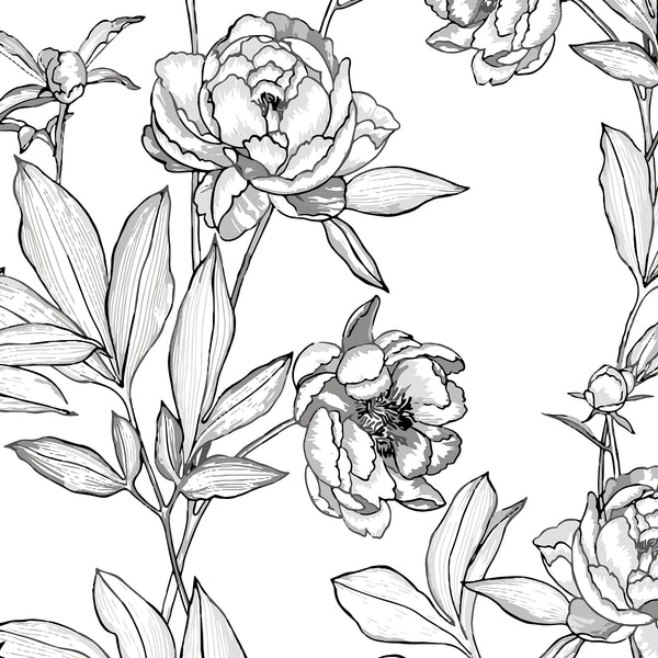 French Terry Print Sweatshirt | Peony 62C