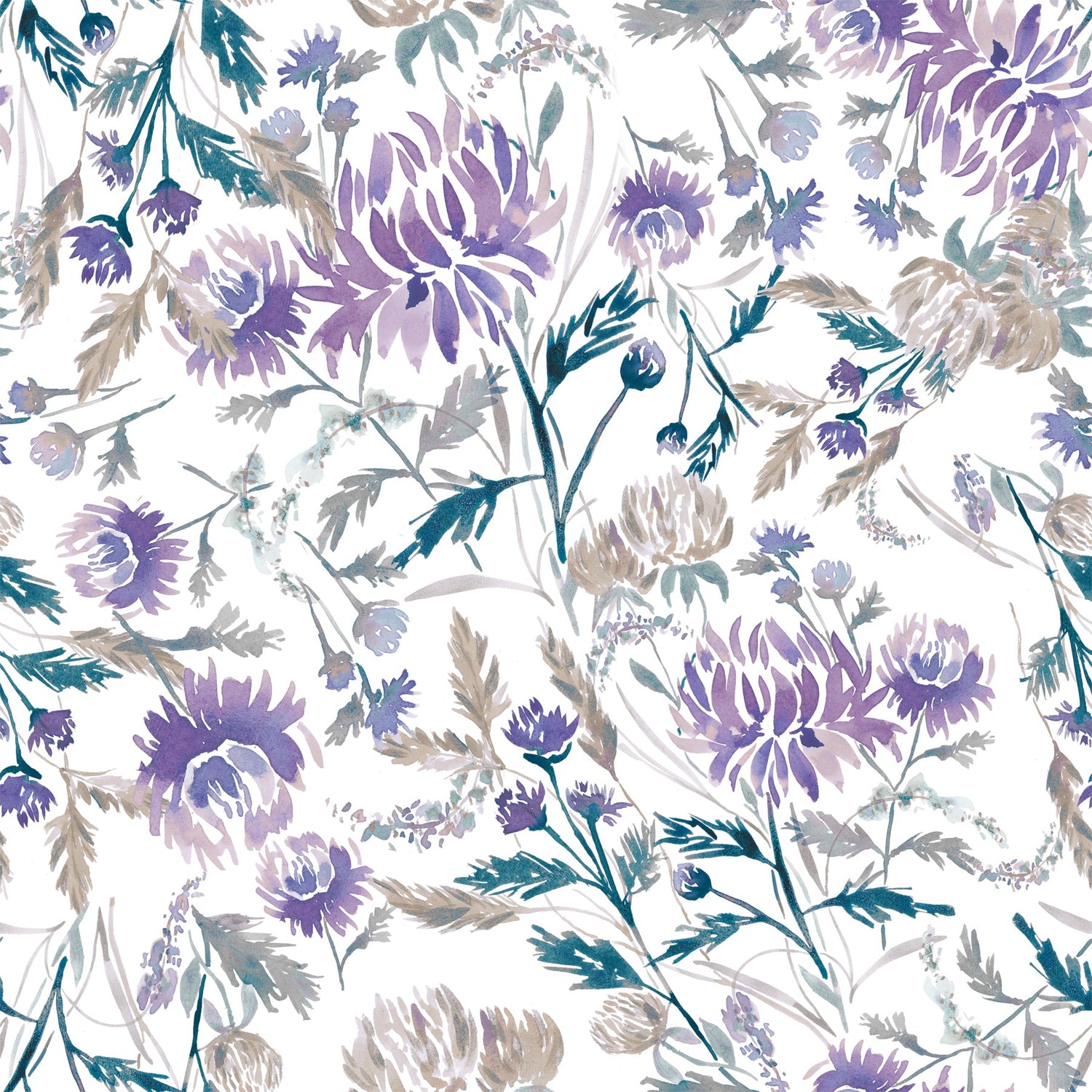 61x Sterling Forest Collection