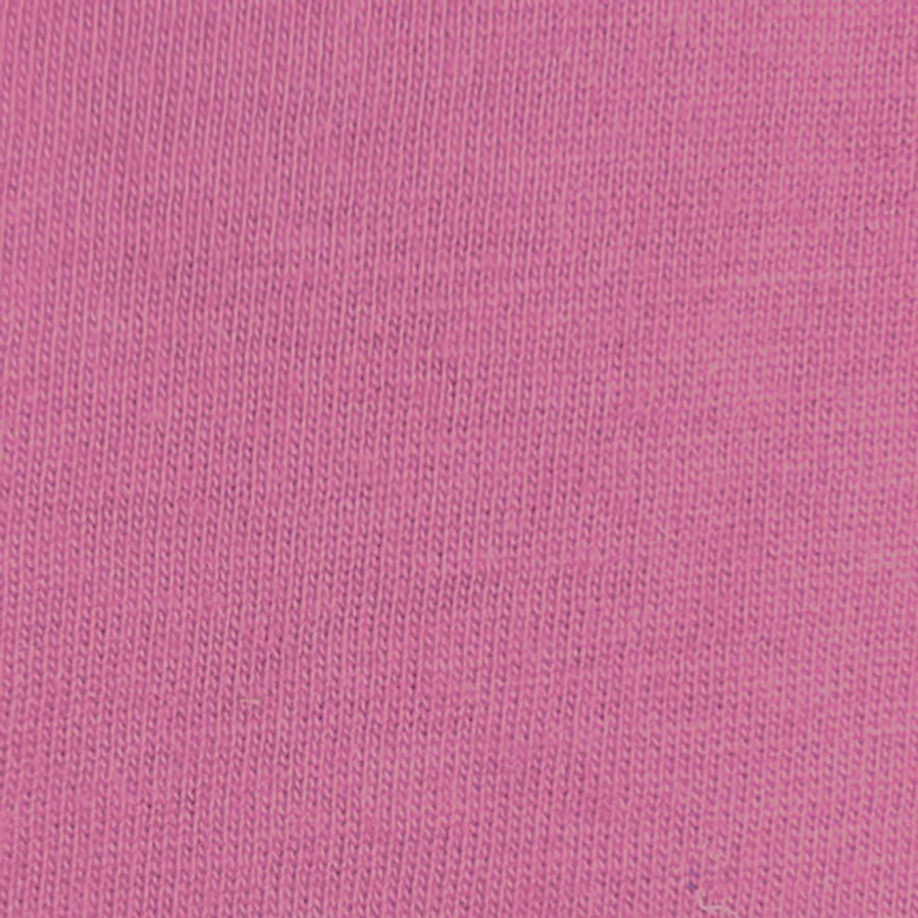 Petite Long Sleeve Solid Polo/ Rose 30F