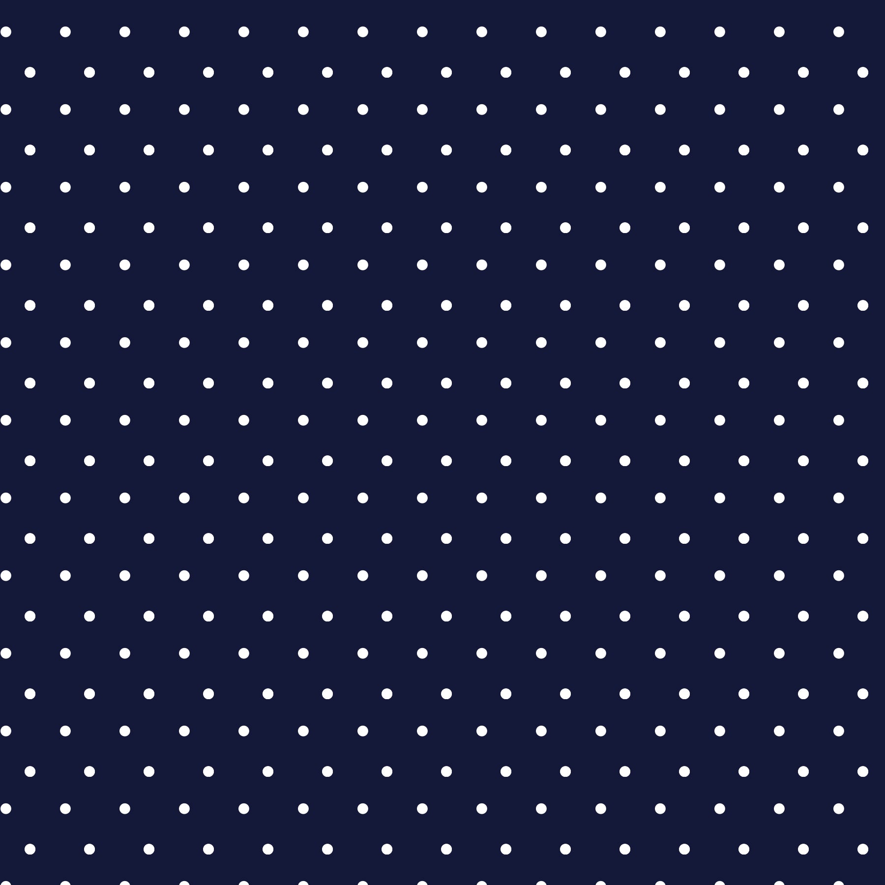 Q-Skirt Print | Navy Pin Dot 50F - Leonlevin