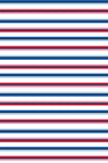 PETITE Three Quarter Sleeve Print Polo | Between Lines 66E - Leonlevin