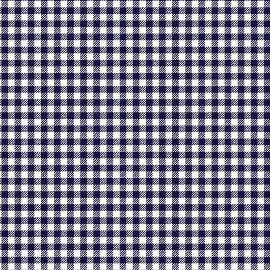 Print Capri | Navy Gingham CW5 - Leonlevin