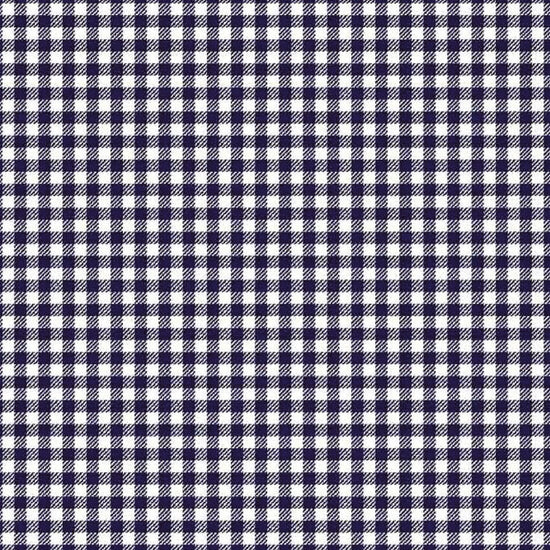 Print Capri | Navy Gingham CW5 - Leonlevin