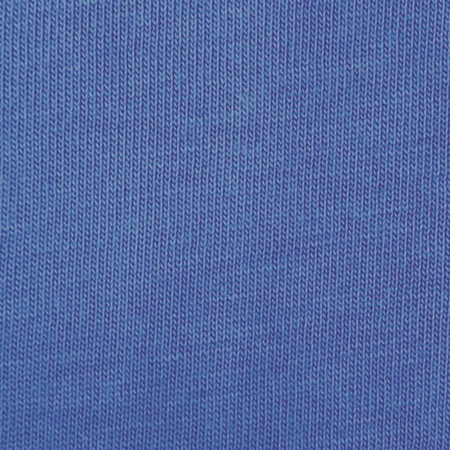 PETITE Long Sleeve Solid Polo | Ocean Drive 30A - Leonlevin