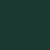 Banded Bottom Solid Polo | Malachite 30J - Leonlevin